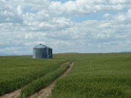 washingtontominnesota065.jpg
