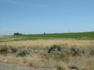 washingtontominnesota022.jpg